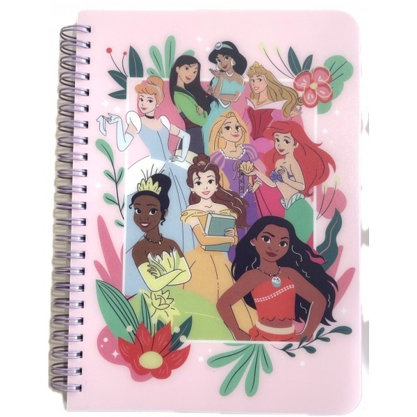 Disney Princess journal notebook, Disneyland Paris 
